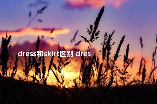 dress和skirt区别 dress与skirt的用法区别